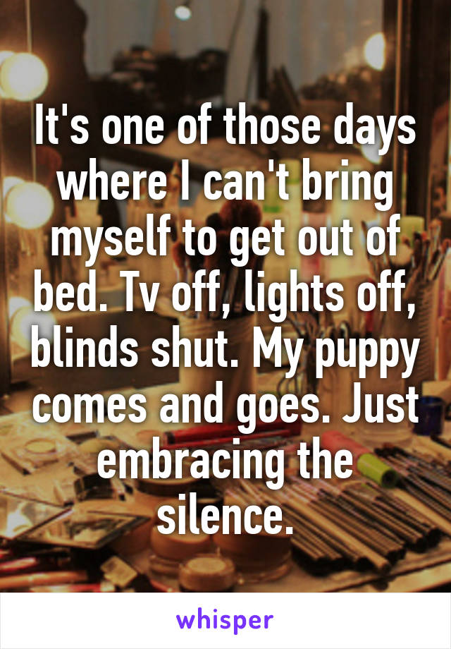 It's one of those days where I can't bring myself to get out of bed. Tv off, lights off, blinds shut. My puppy comes and goes. Just embracing the silence.