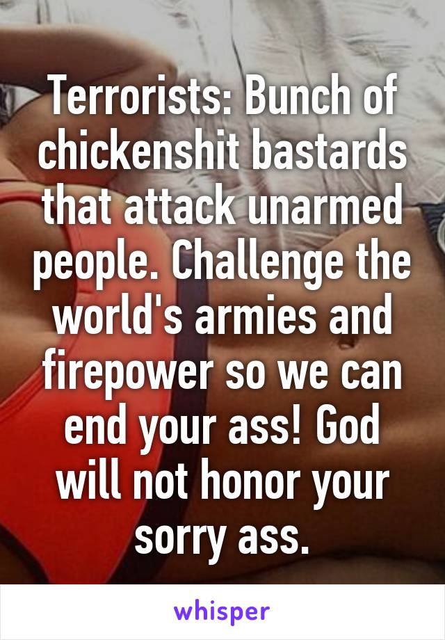 Terrorists: Bunch of chickenshit bastards that attack unarmed people. Challenge the world's armies and firepower so we can end your ass! God will not honor your sorry ass.