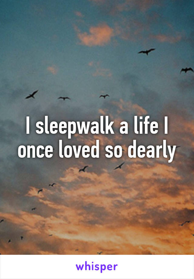 I sleepwalk a life I once loved so dearly