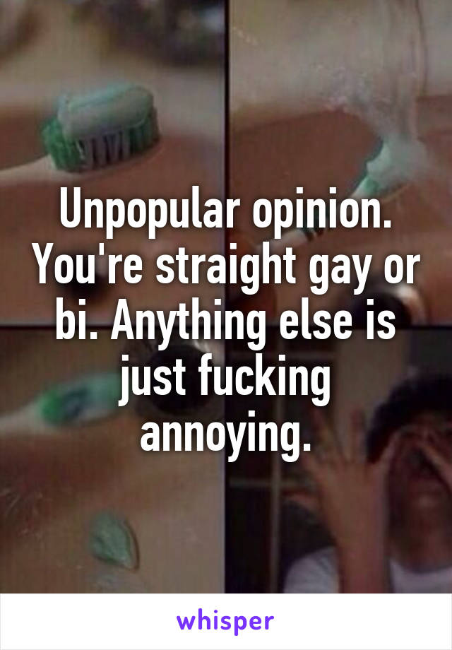 Unpopular opinion. You're straight gay or bi. Anything else is just fucking annoying.