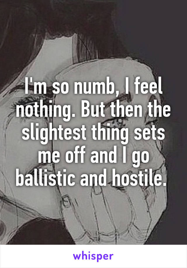 I'm so numb, I feel nothing. But then the slightest thing sets me off and I go ballistic and hostile. 