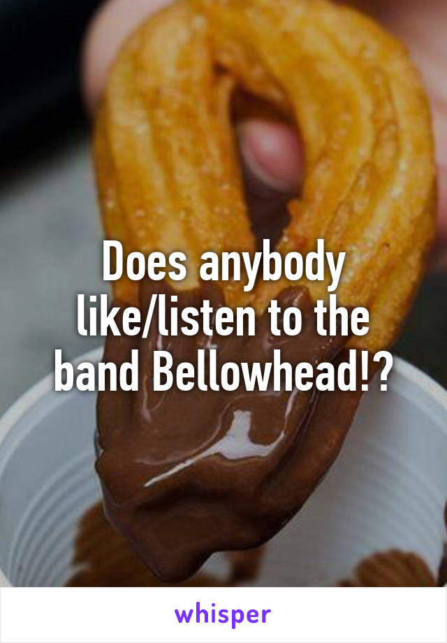 Does anybody like/listen to the band Bellowhead!?