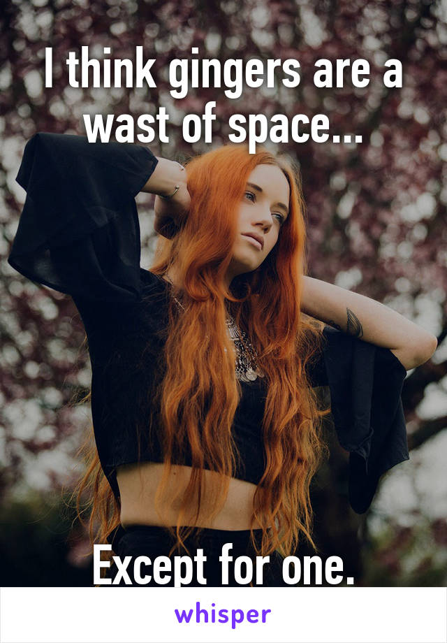 I think gingers are a wast of space...







Except for one.