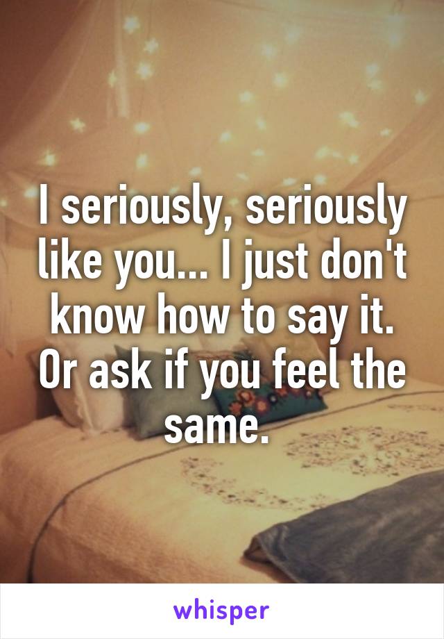 I seriously, seriously like you... I just don't know how to say it. Or ask if you feel the same. 