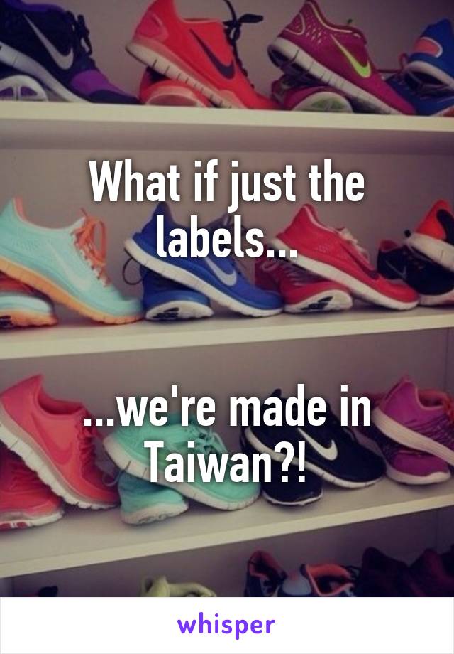 What if just the labels...


...we're made in Taiwan?!