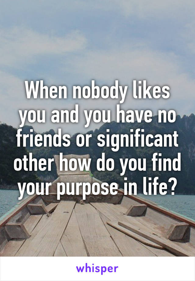 When nobody likes you and you have no friends or significant other how do you find your purpose in life?