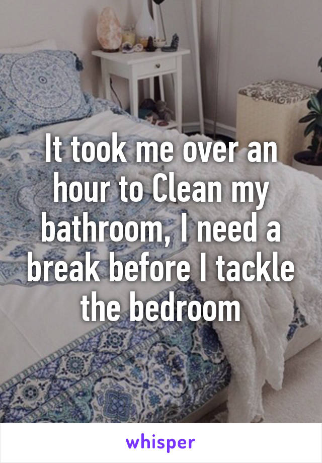 It took me over an hour to Clean my bathroom, I need a break before I tackle the bedroom