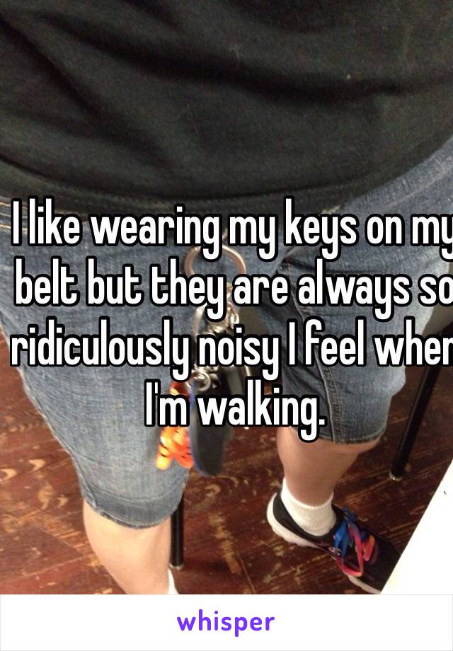 I like wearing my keys on my belt but they are always so ridiculously noisy I feel when I'm walking. 