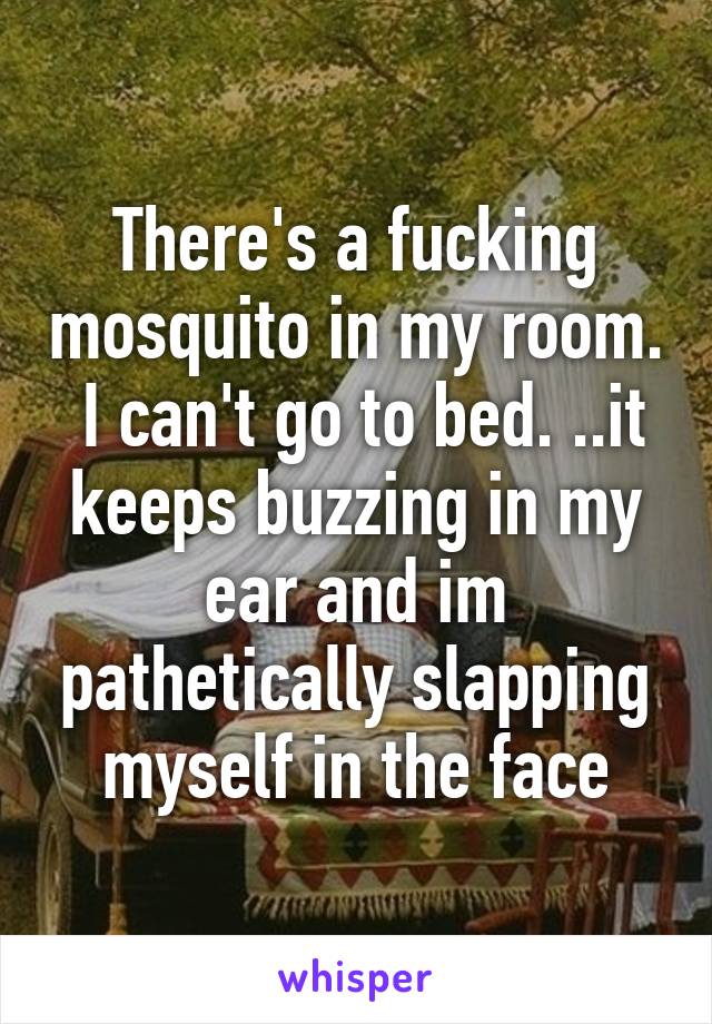 There's a fucking mosquito in my room.  I can't go to bed. ..it keeps buzzing in my ear and im pathetically slapping myself in the face