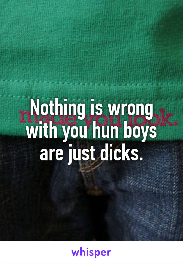 Nothing is wrong with you hun boys are just dicks.