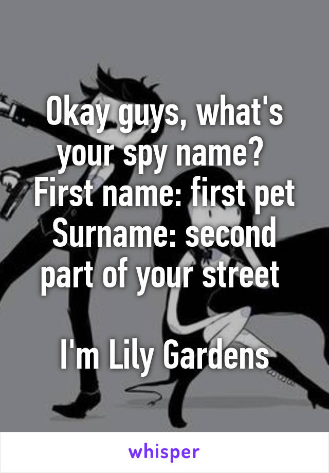 Okay guys, what's your spy name? 
First name: first pet
Surname: second part of your street 

I'm Lily Gardens