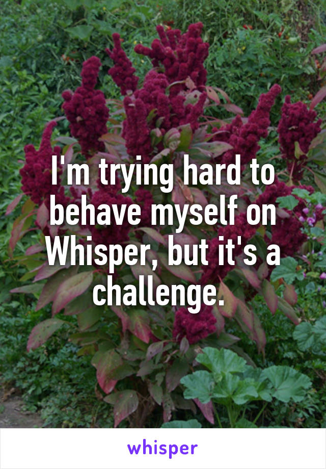 I'm trying hard to behave myself on Whisper, but it's a challenge. 