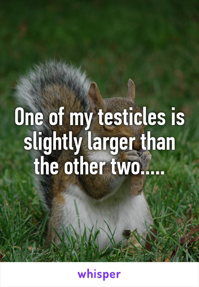 One of my testicles is slightly larger than the other two.....