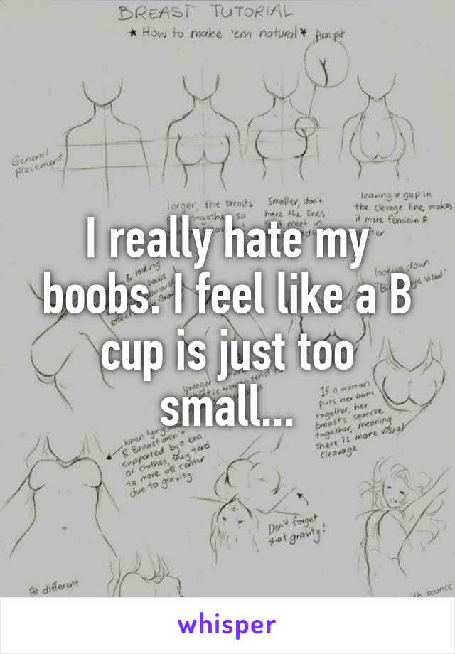 I really hate my boobs. I feel like a B cup is just too small...