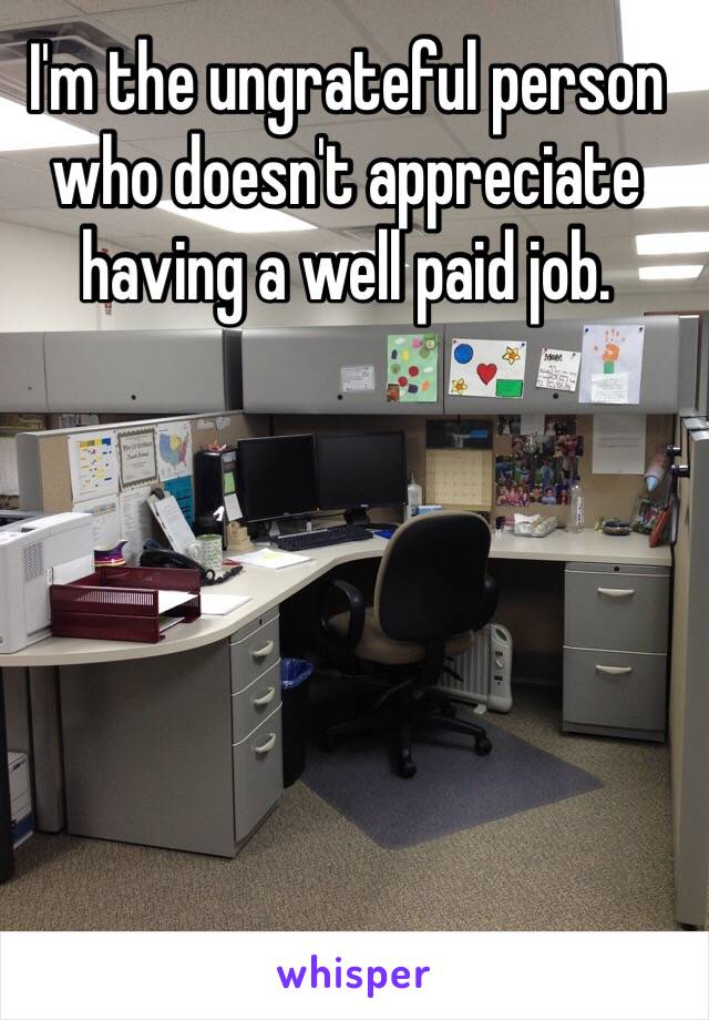 I'm the ungrateful person who doesn't appreciate having a well paid job.