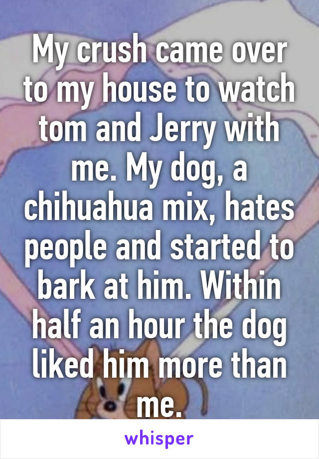 My crush came over to my house to watch tom and Jerry with me. My dog, a chihuahua mix, hates people and started to bark at him. Within half an hour the dog liked him more than me.