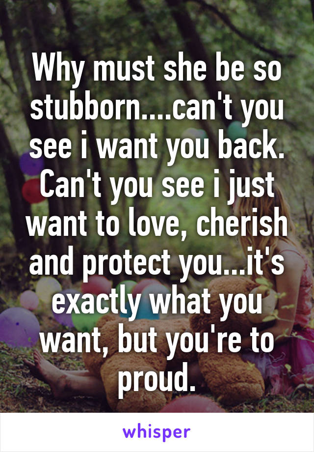 Why must she be so stubborn....can't you see i want you back. Can't you see i just want to love, cherish and protect you...it's exactly what you want, but you're to proud.