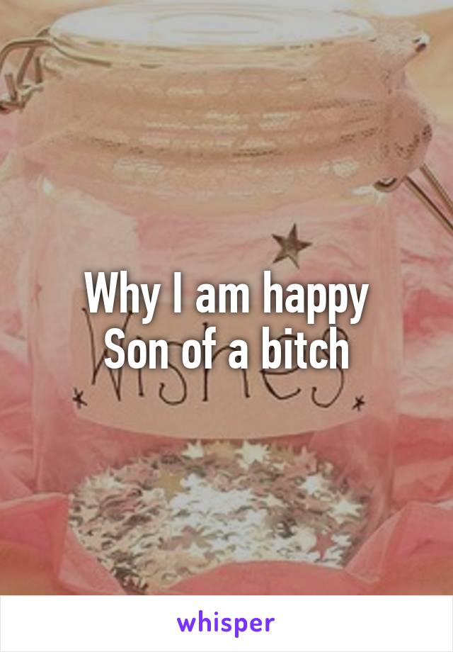 Why I am happy
Son of a bitch