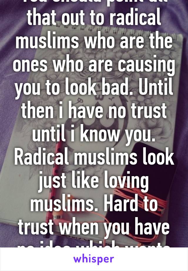 You should point all that out to radical muslims who are the ones who are causing you to look bad. Until then i have no trust until i know you. Radical muslims look just like loving muslims. Hard to trust when you have no idea which wants to kill you.