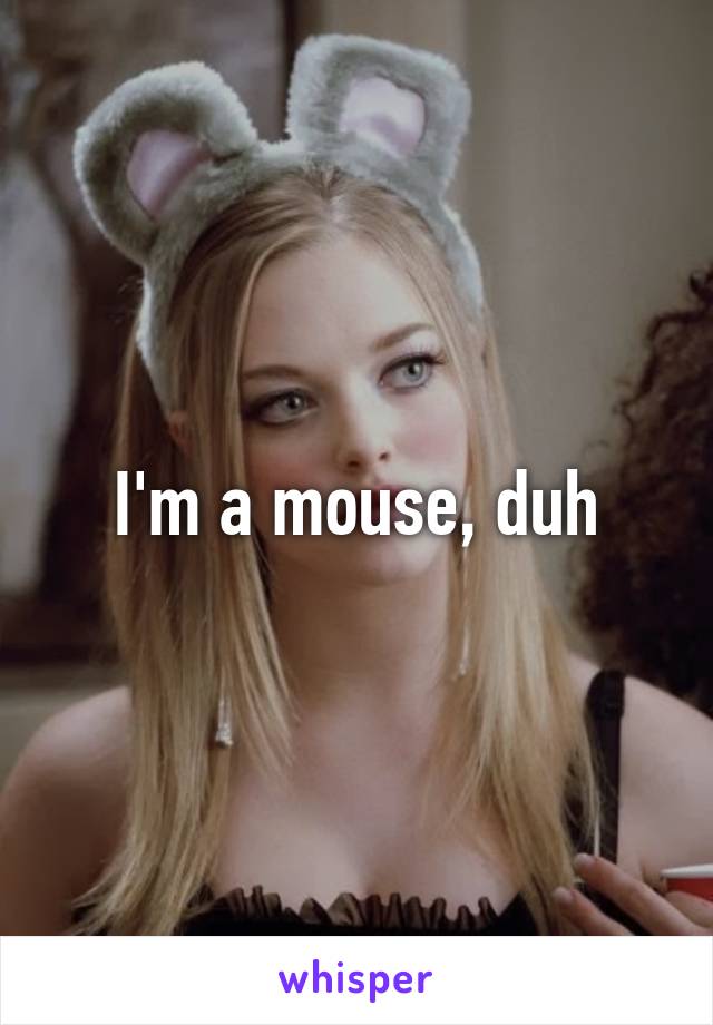 I'm a mouse, duh