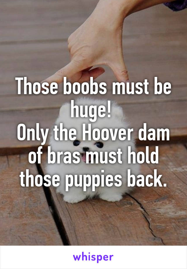 Those boobs must be huge! 
Only the Hoover dam of bras must hold those puppies back.