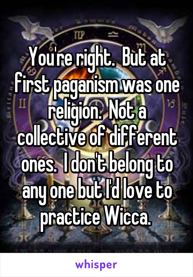 You're right.  But at first paganism was one religion.  Not a collective of different ones.  I don't belong to any one but I'd love to practice Wicca. 