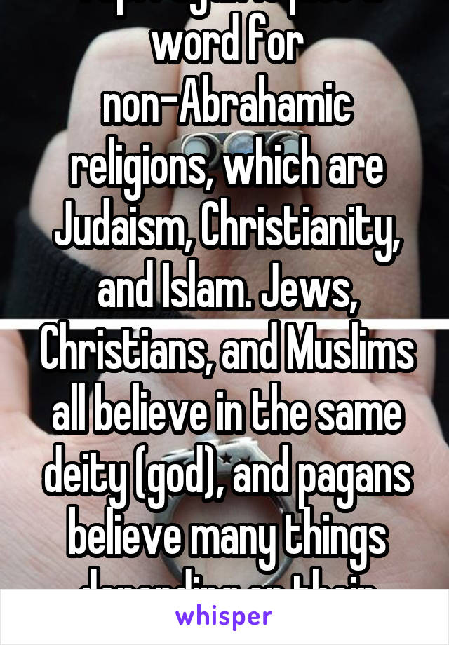 Yup. Pagan is just a word for non-Abrahamic religions, which are Judaism, Christianity, and Islam. Jews, Christians, and Muslims all believe in the same deity (god), and pagans believe many things depending on their religion.