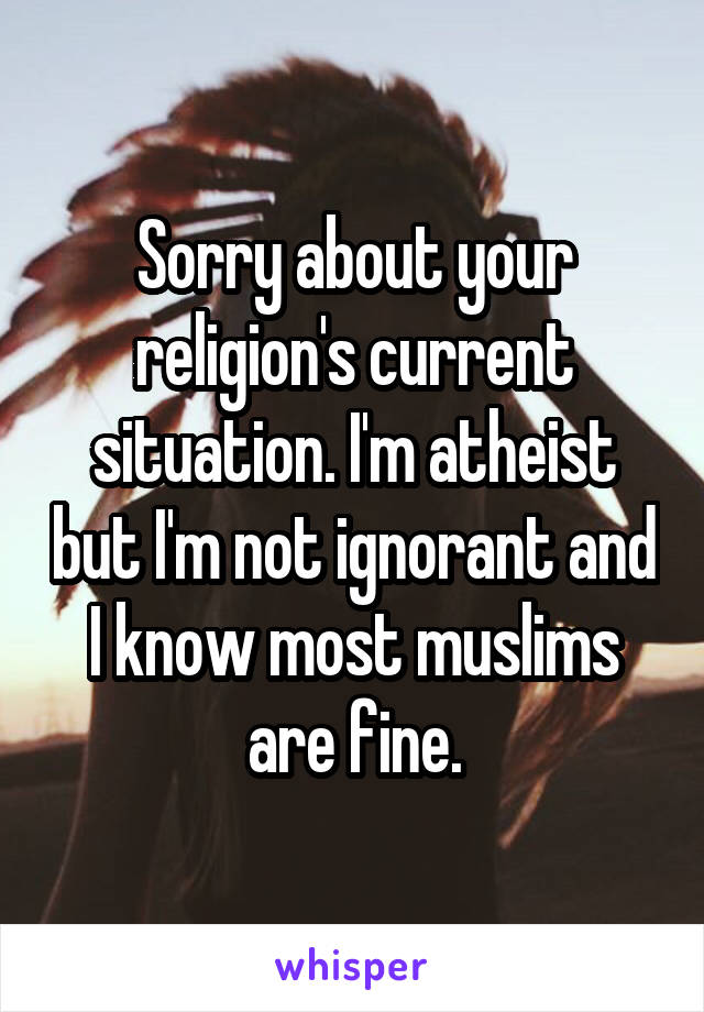 Sorry about your religion's current situation. I'm atheist but I'm not ignorant and I know most muslims are fine.