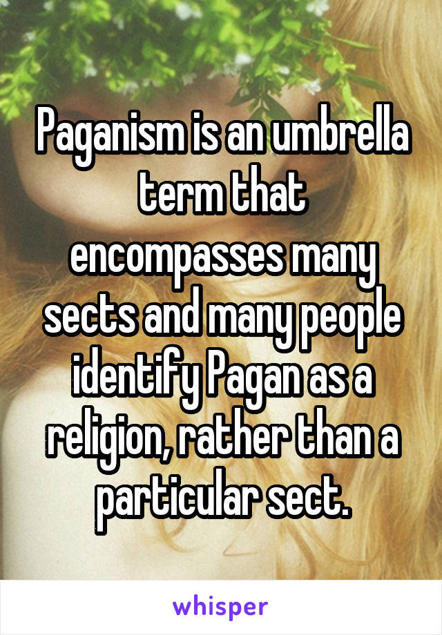 Paganism is an umbrella term that encompasses many sects and many people identify Pagan as a religion, rather than a particular sect.