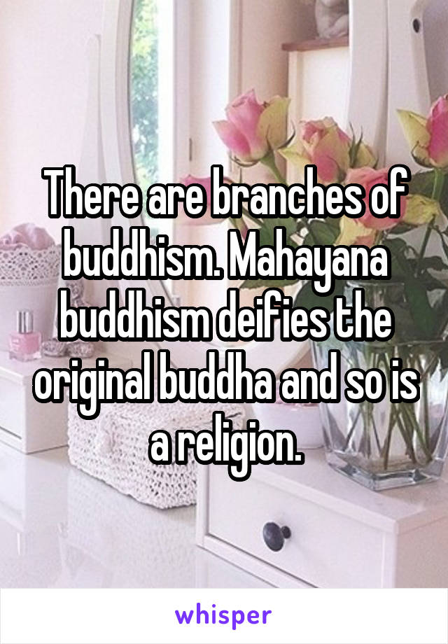 There are branches of buddhism. Mahayana buddhism deifies the original buddha and so is a religion.