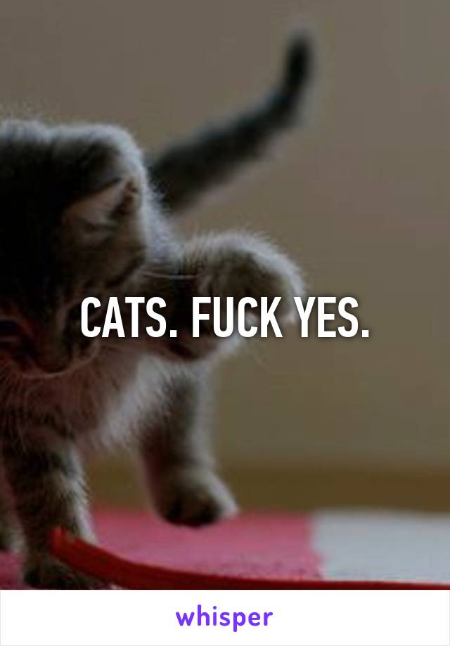 CATS. FUCK YES.