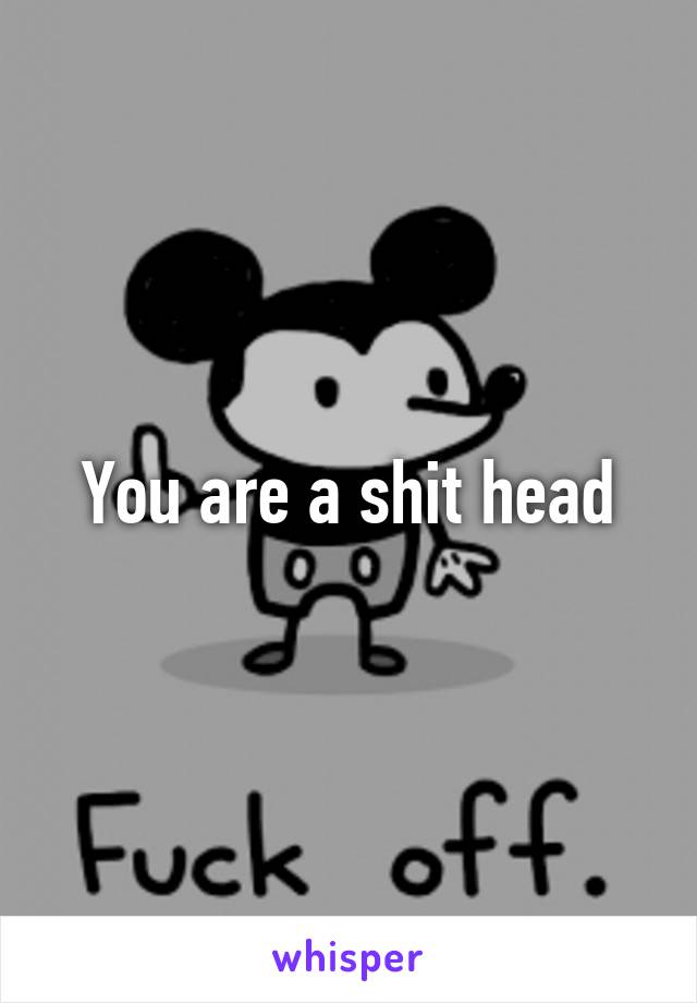 You are a shit head
