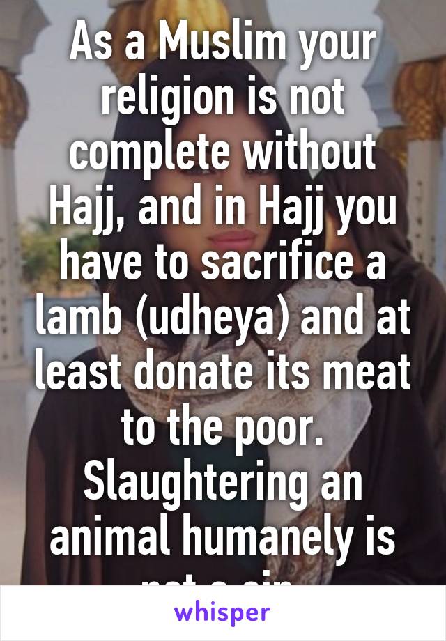 As a Muslim your religion is not complete without Hajj, and in Hajj you have to sacrifice a lamb (udheya) and at least donate its meat to the poor. Slaughtering an animal humanely is not a sin.