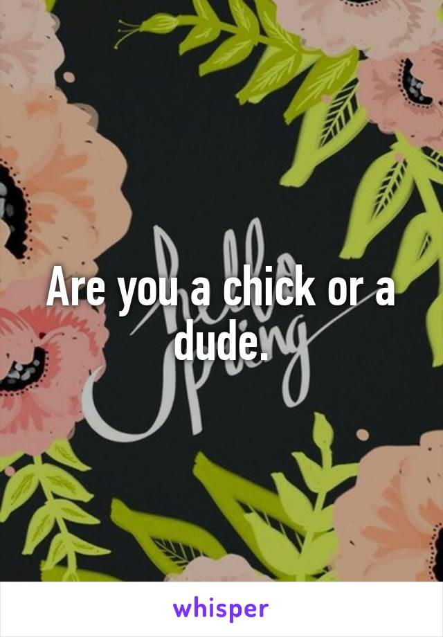 Are you a chick or a dude.