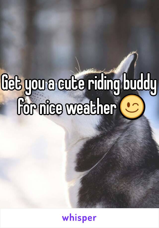 Get you a cute riding buddy for nice weather 😉 