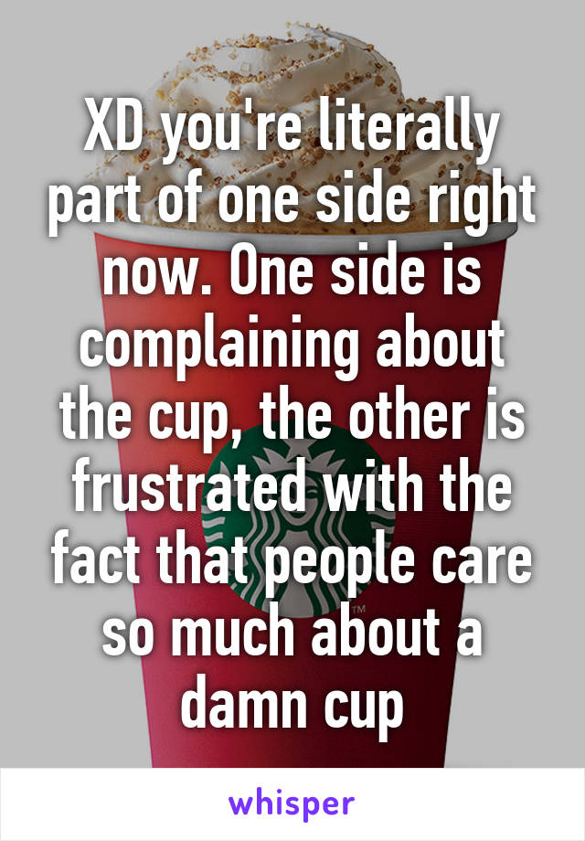 XD you're literally part of one side right now. One side is complaining about the cup, the other is frustrated with the fact that people care so much about a damn cup