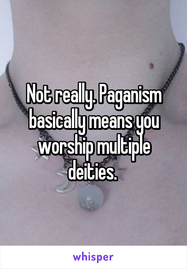 Not really. Paganism basically means you worship multiple deities. 