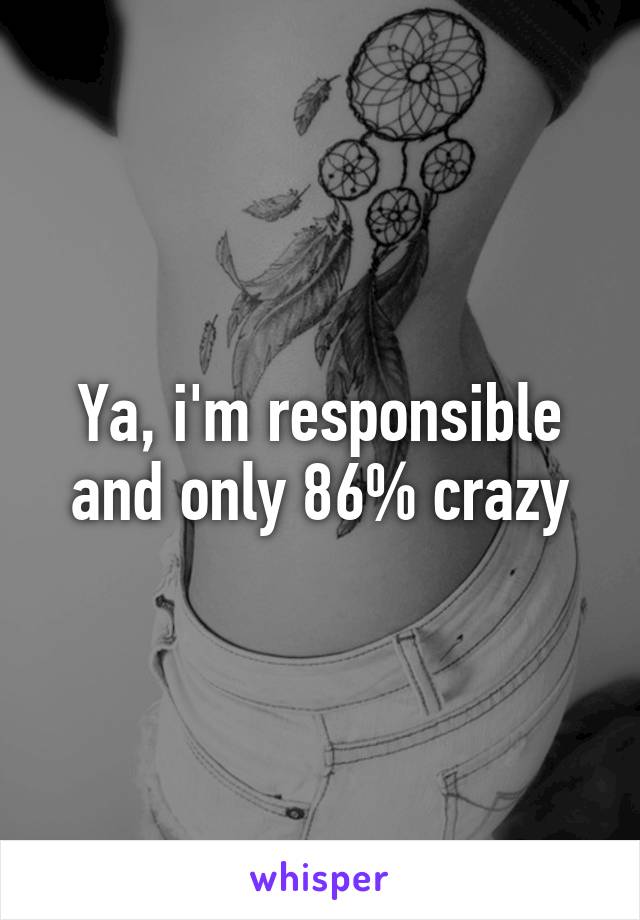 Ya, i'm responsible and only 86% crazy