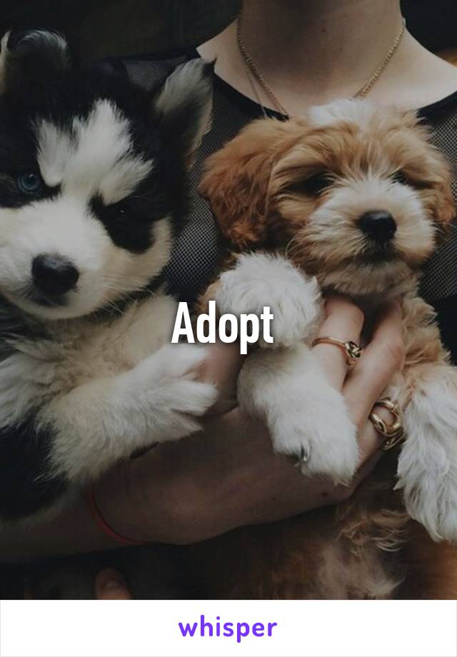 Adopt 