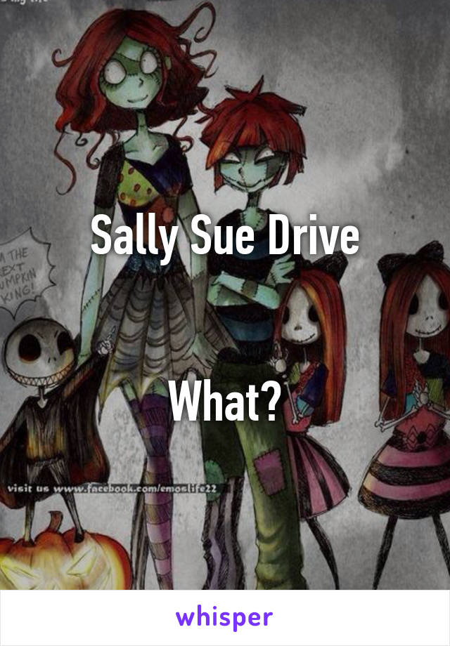 Sally Sue Drive


What?