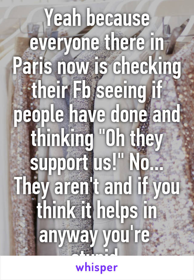 Yeah because everyone there in Paris now is checking their Fb seeing if people have done and thinking "Oh they support us!" No... They aren't and if you think it helps in anyway you're  stupid.