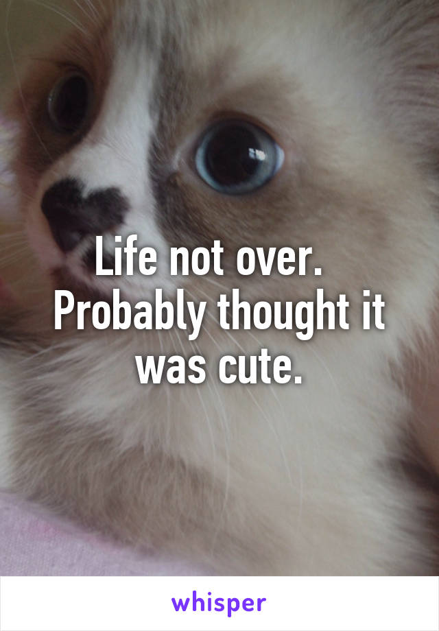 Life not over.  
Probably thought it was cute.