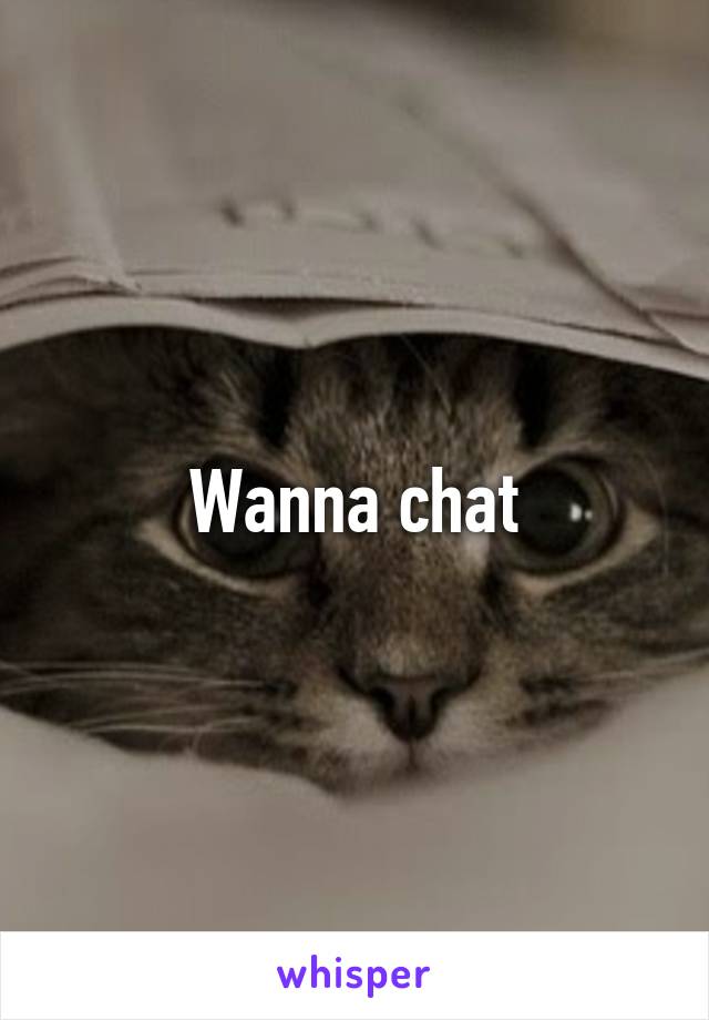 Wanna chat