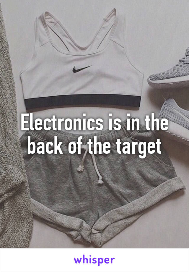 Electronics is in the back of the target