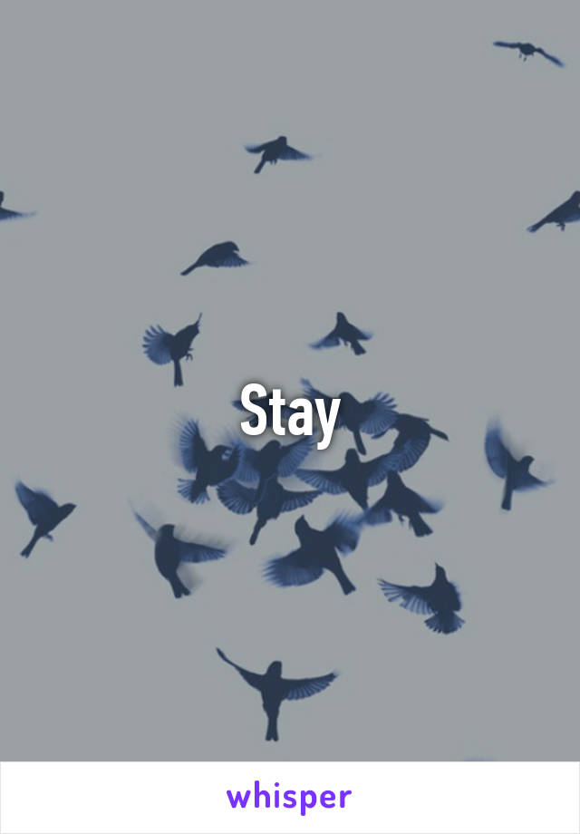 Stay