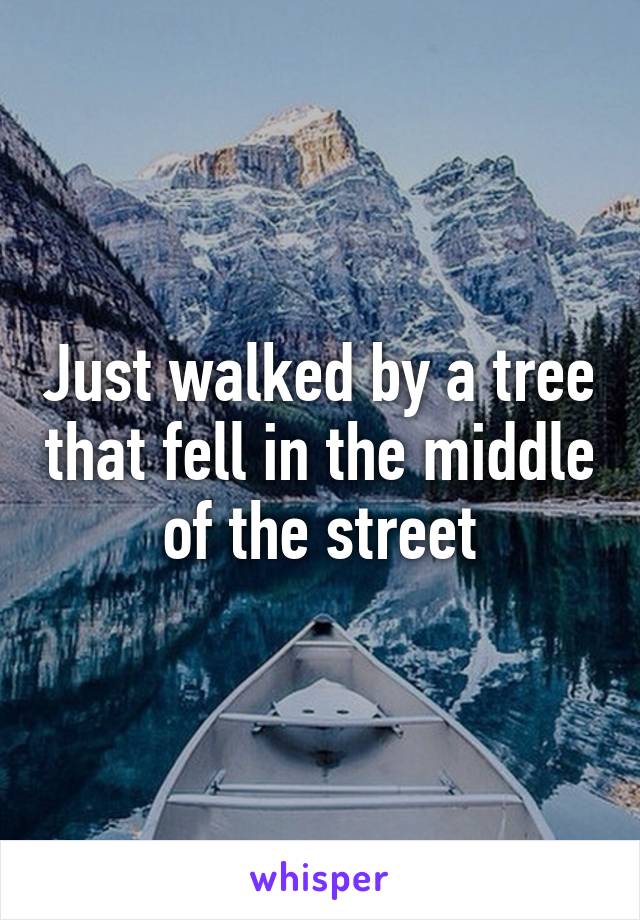 Just walked by a tree that fell in the middle of the street