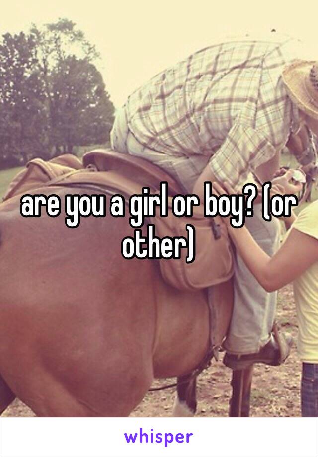 are you a girl or boy? (or other)