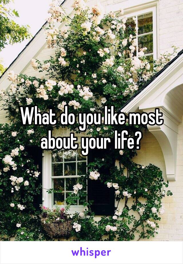 What do you like most about your life? 