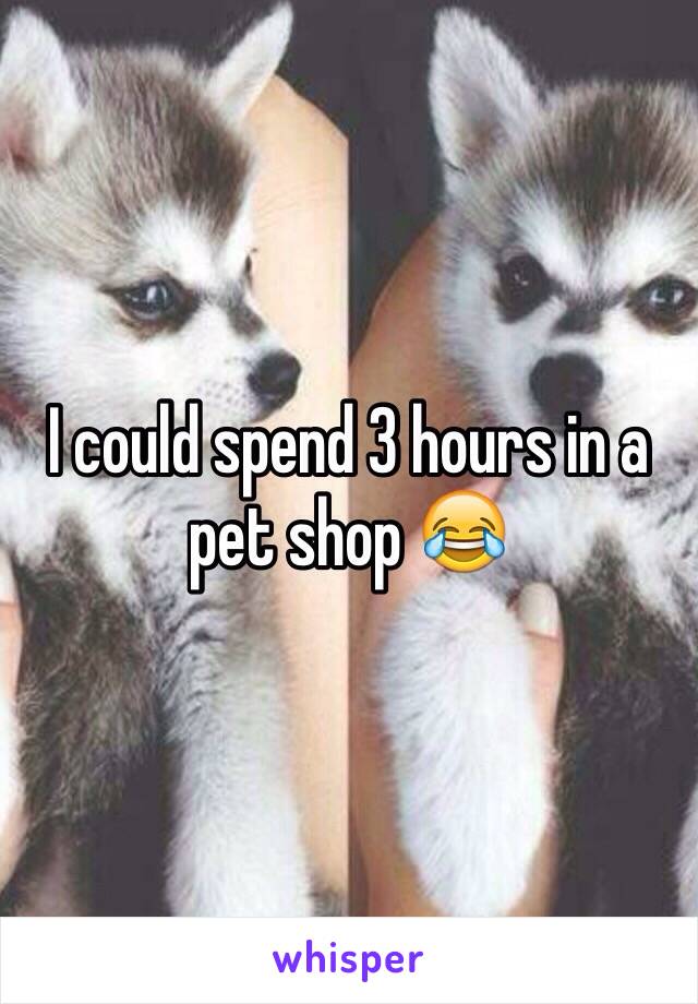 I could spend 3 hours in a pet shop 😂