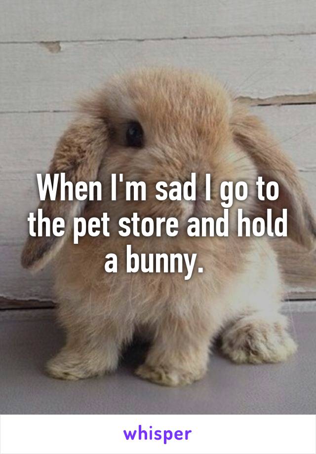When I'm sad I go to the pet store and hold a bunny. 